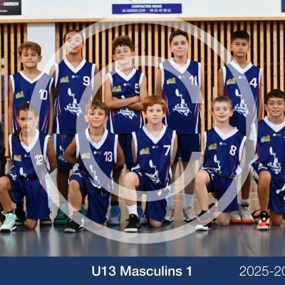 Montage Scg 2026 Hd Copyright06